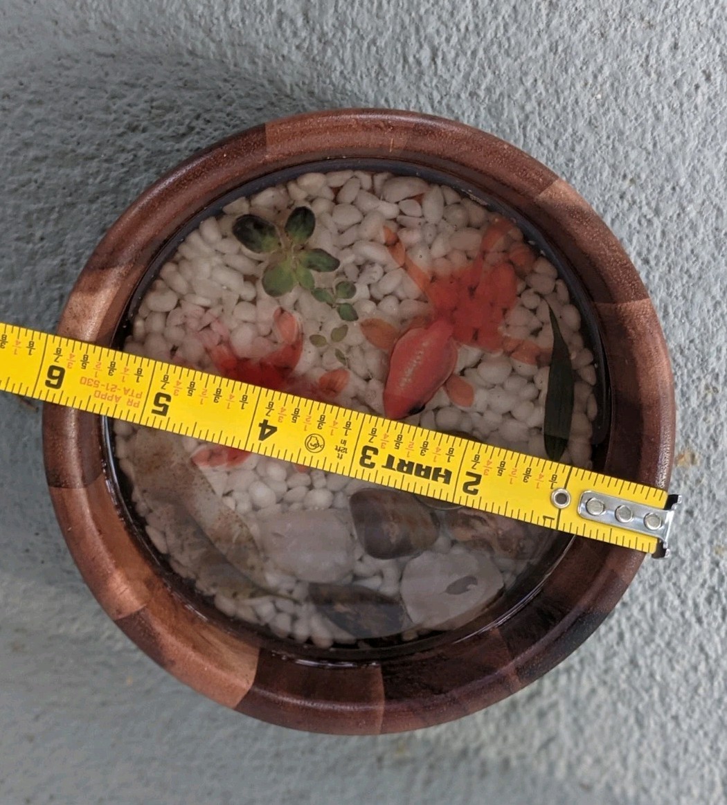3D Gold Koi Fish Resin Painted Feng Shui Art Rocks,Leaves,Chinese Coin Wood Bowl