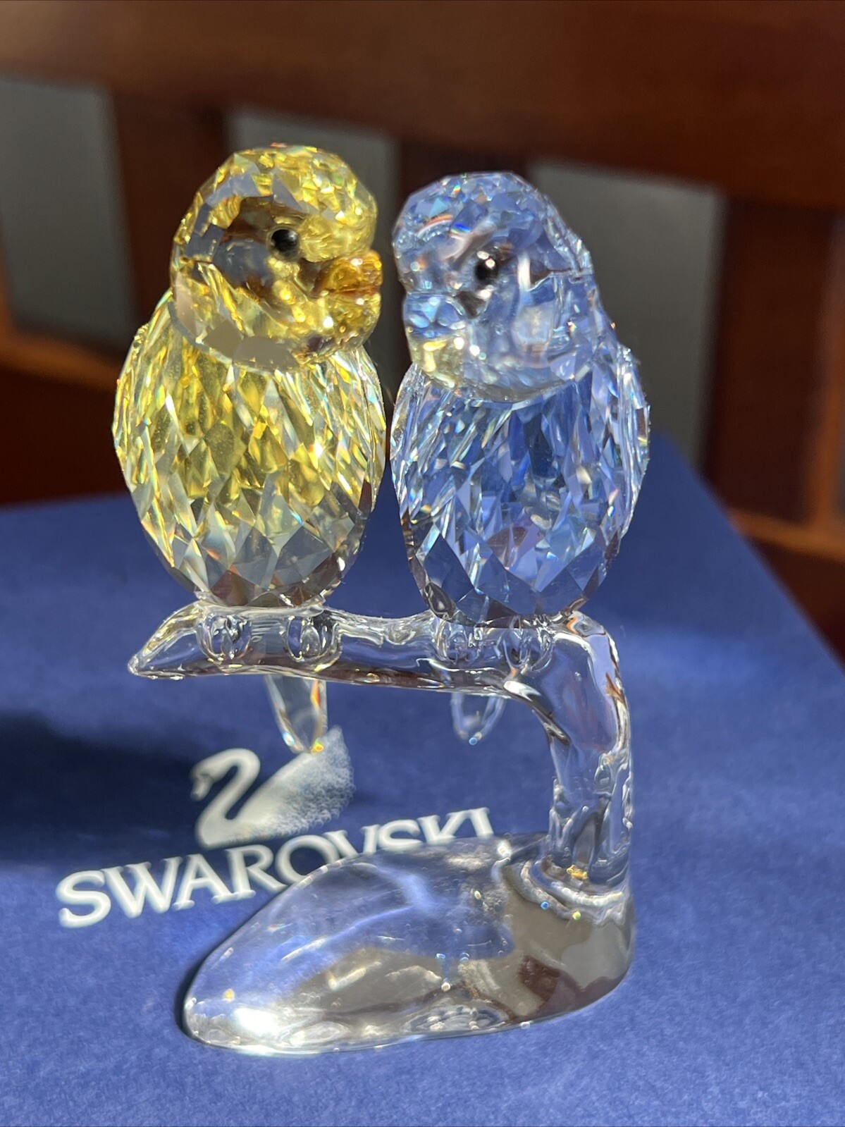 Swarovski 2014 Colored Budgies 5004725 – Mint in box.