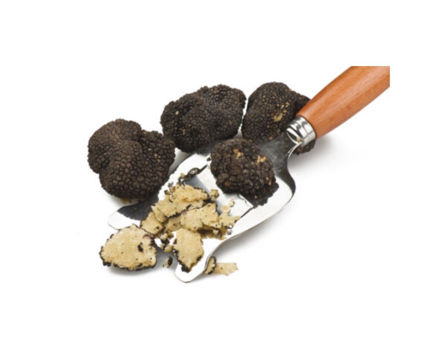 BLACK Truffle Tuber Melanosporum Dry Mycelium Spores 10 30 100 300 grams 238
