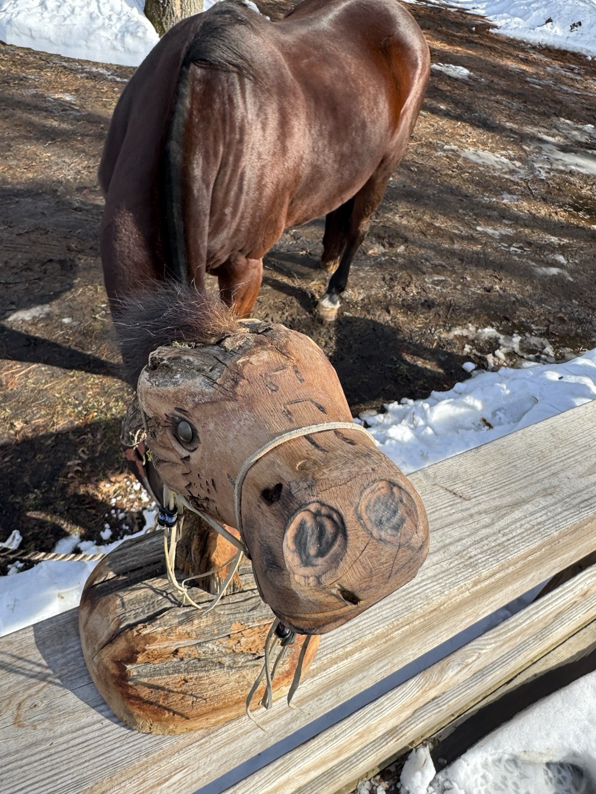 Horse Head Handmade Folk Art Driftwood Mounted Horse Head Native