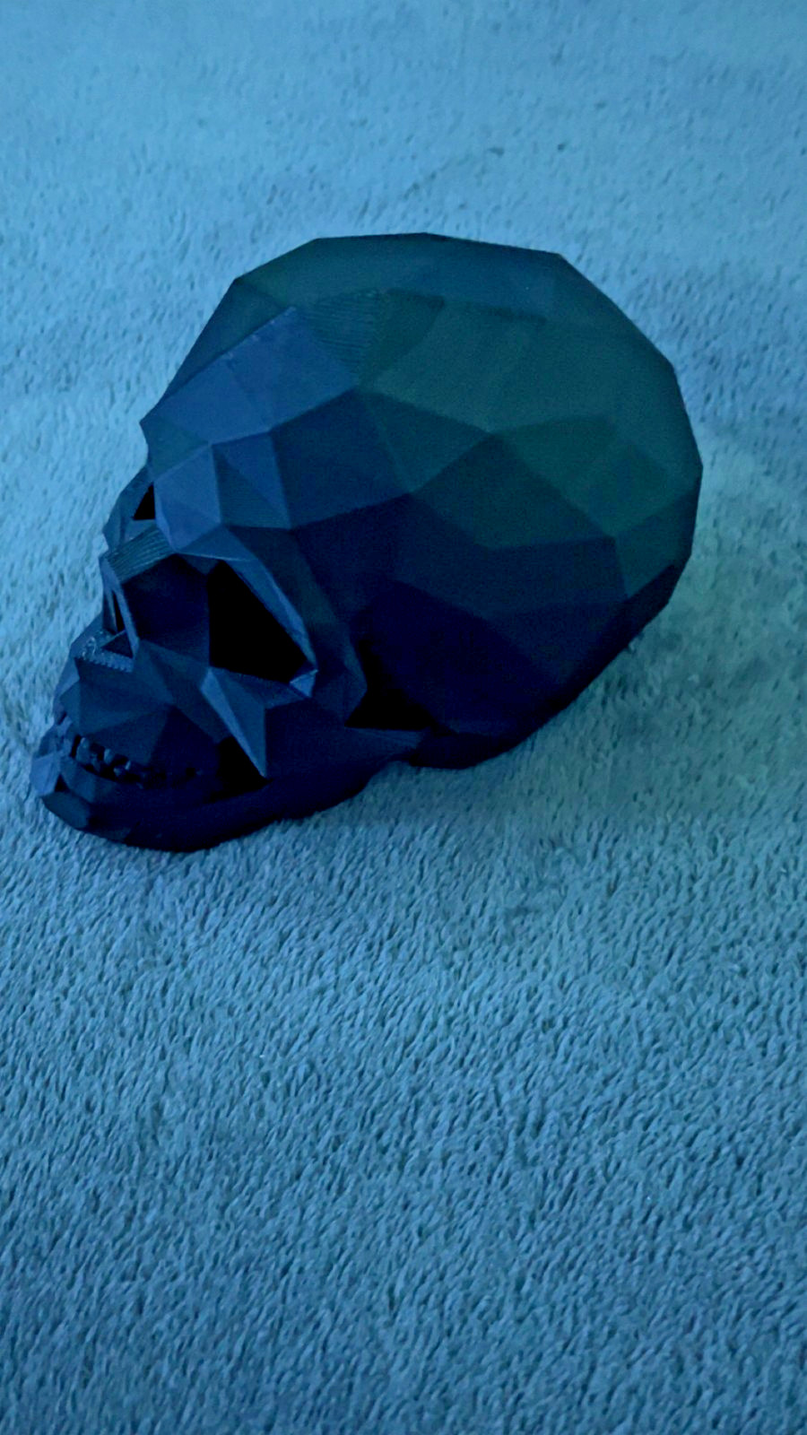 3d printed skull- READ DESCRIPTION