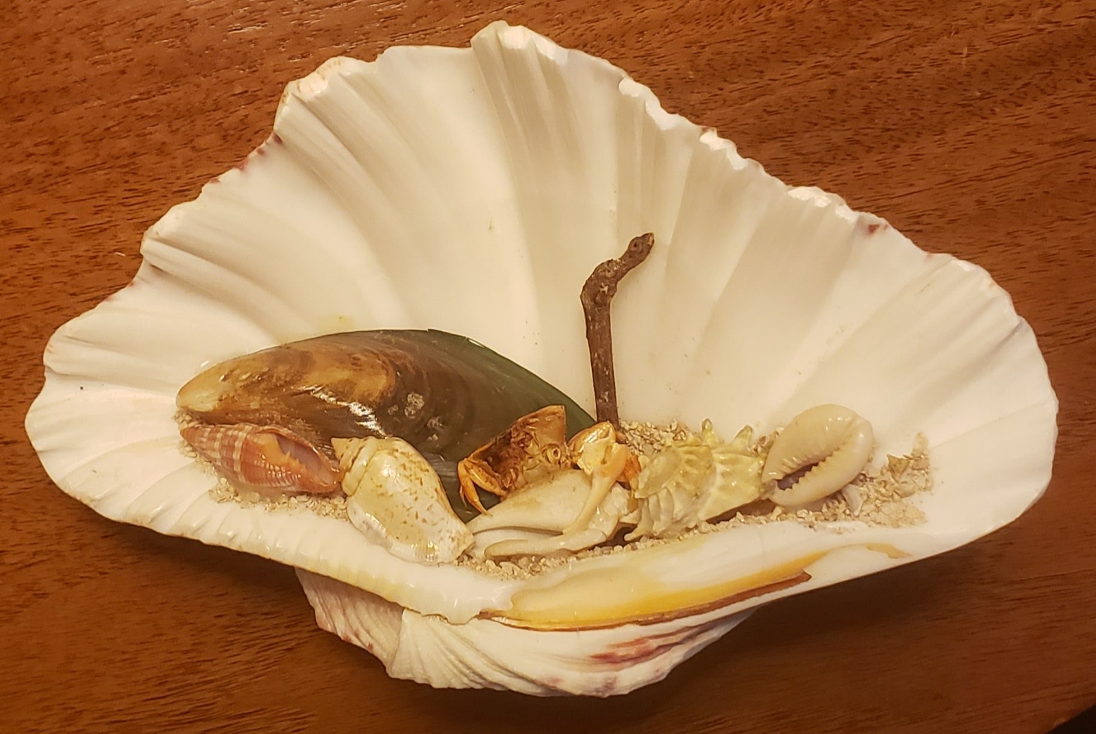 VINTAGE SEA SHELL ART Handcrafted Diorama