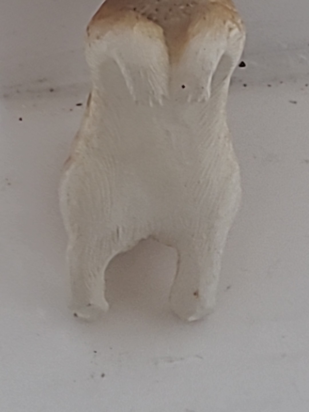 Small Chihuahua Porcelain Figure 2.5 In