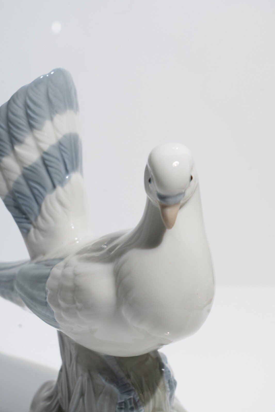 Vintage Porcellanas Miquel Requena Valencia Porcelain Bird Dove Pigeon Spain