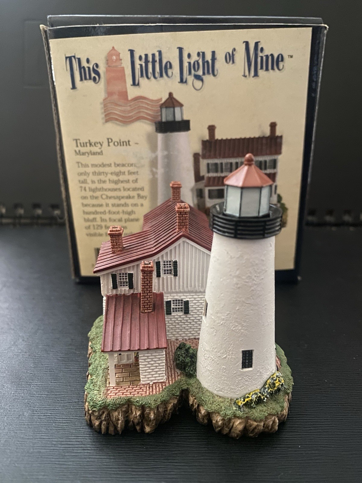 this little light of mine lighthouse turkey point maryland