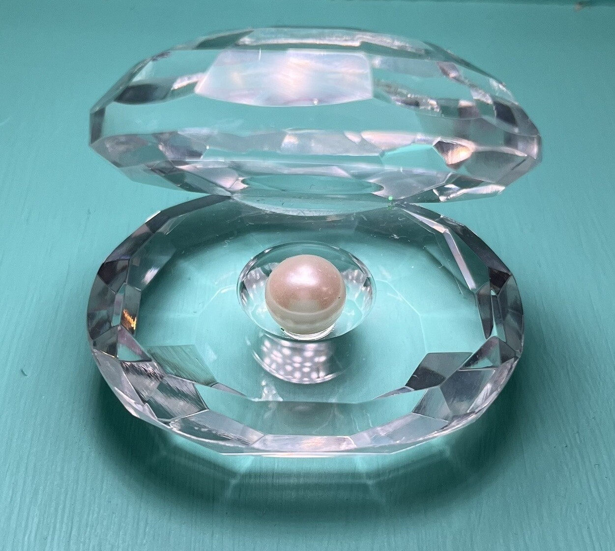 Clear Crystal Oval Shaped Shell With Faux Pearl Figurine 2” H X 2” W