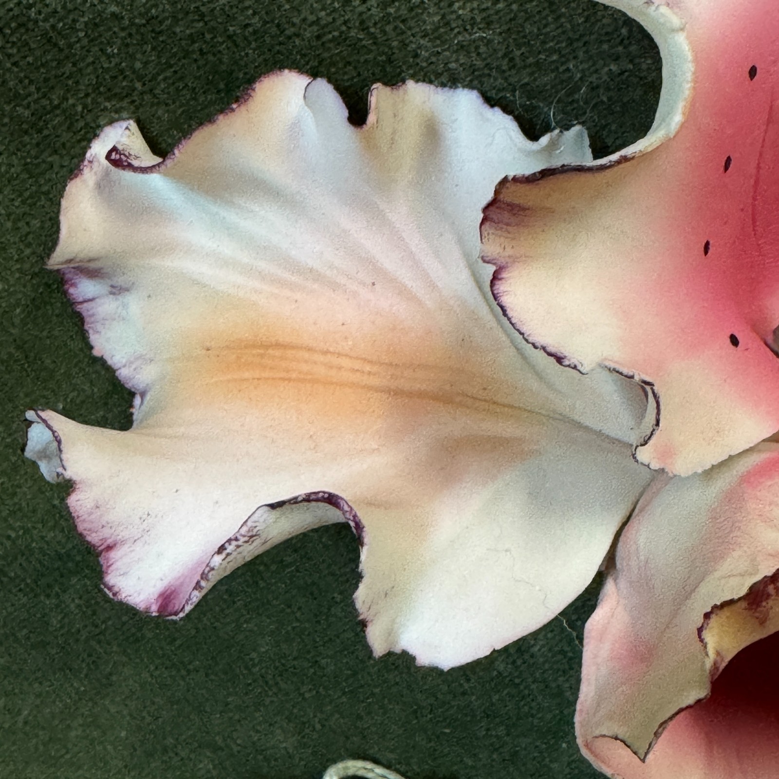Capodimonte Napoli Italia Dea Capodimonte Porcelain Pink Orchid – NWF #404128