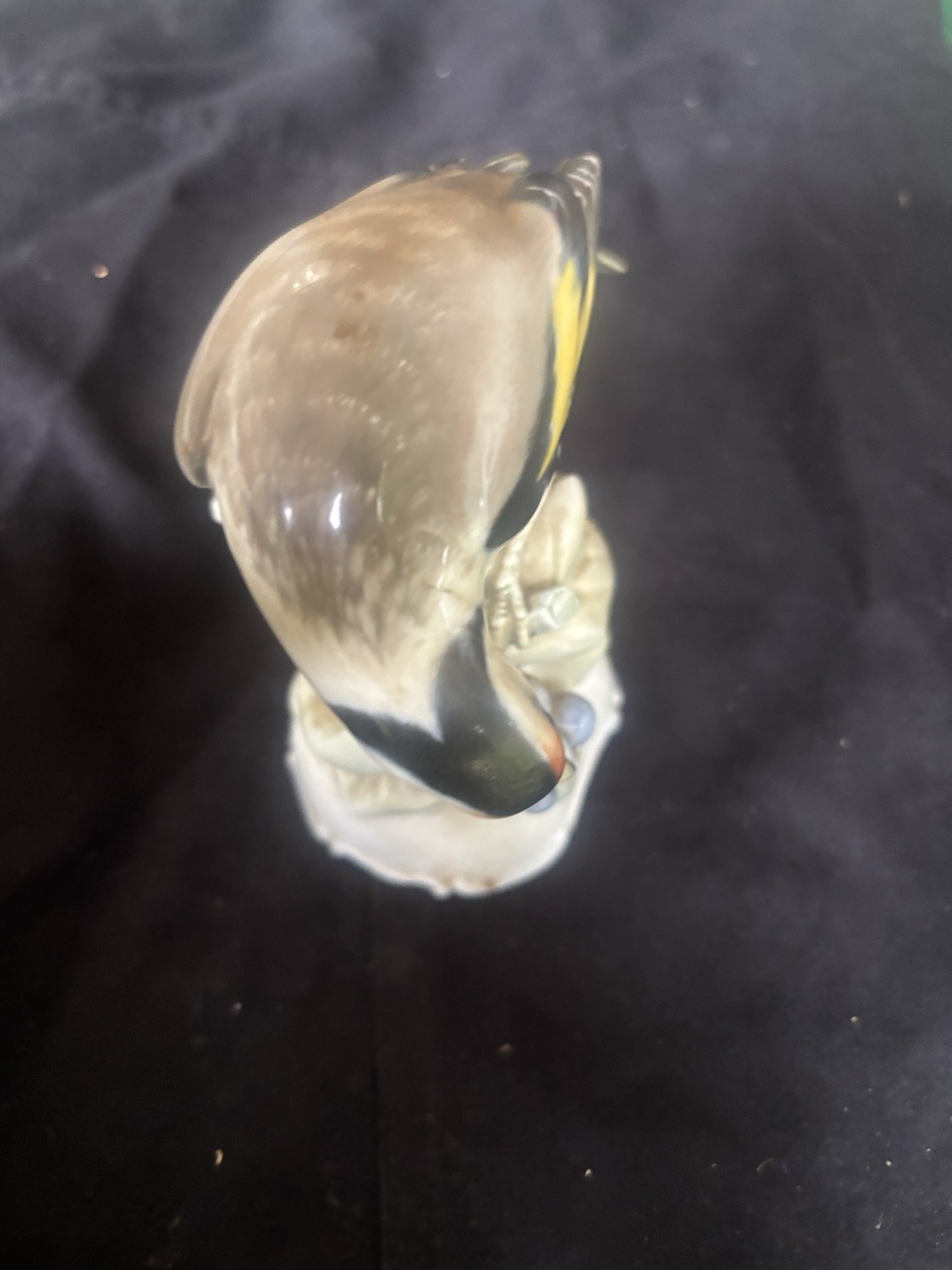 Vintage Rosenthal Germany Kunstabteilung Selb Porcelain Vintage Bird.