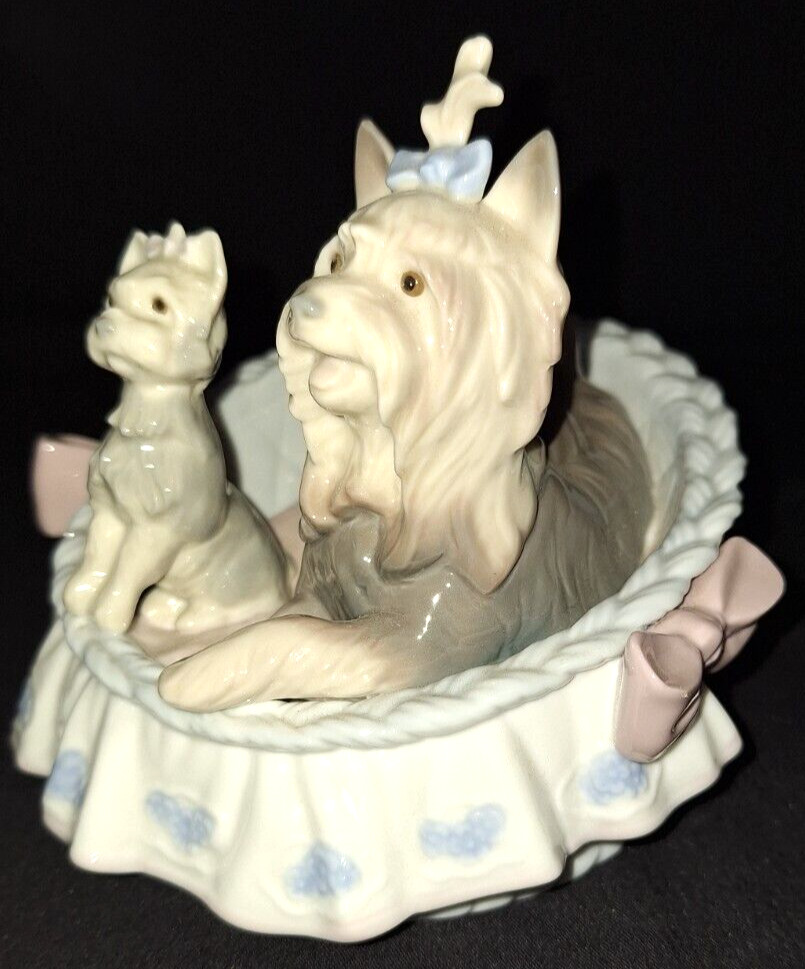 LLADRO YORKIE YORKSHIRE TERRIER DOG Our Cozy Home #6469 RETIRED PORCELAIN FIGURE
