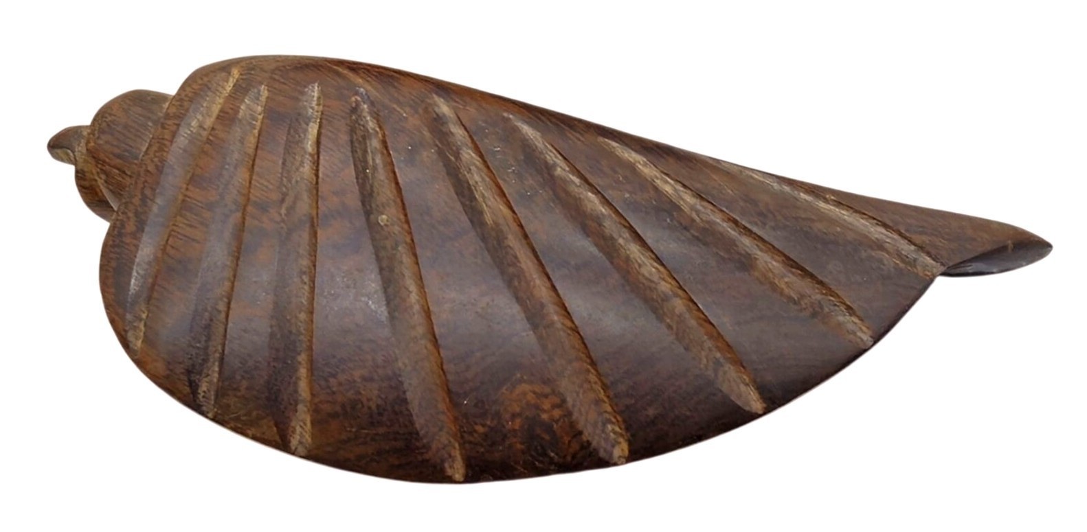 Hand Carved Wooden Hard Wood Conch Sea Shell Seashell Decor Coastal MCM Nautical