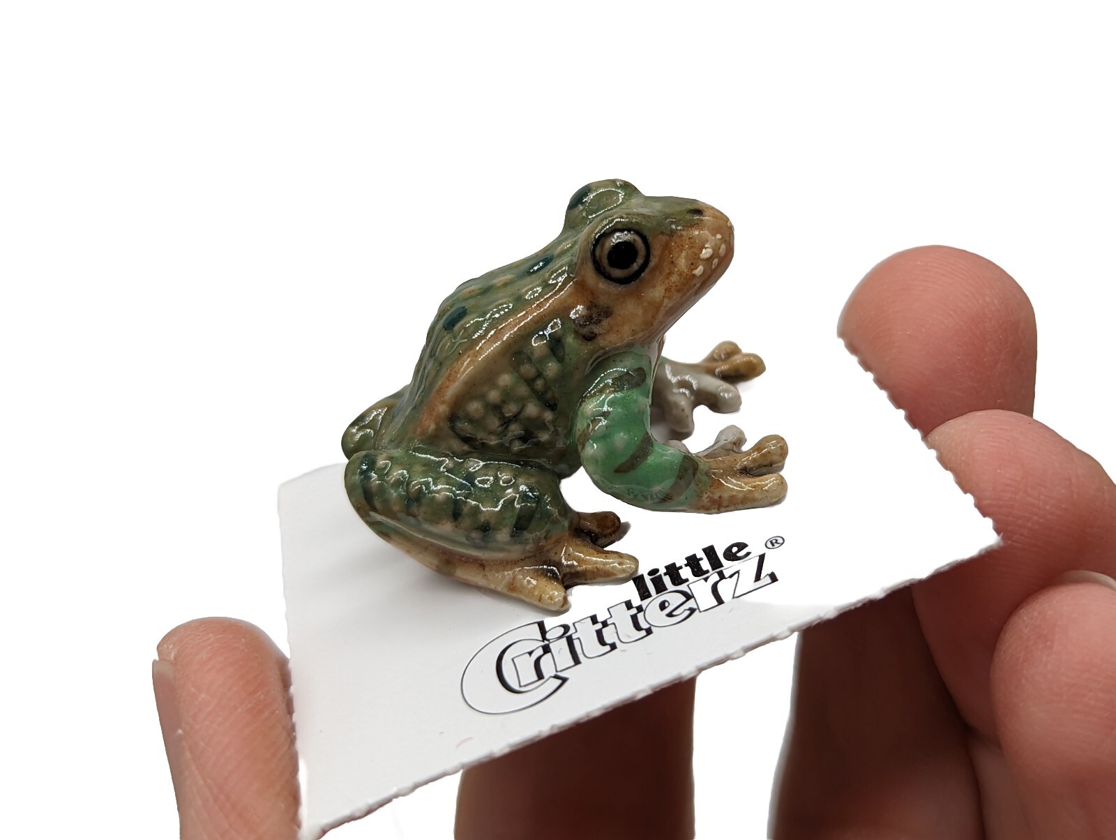 Lot /2 Little Critterz Red-Eyed & Leopard Frogs Hand-Painted Porcelain Mini Figs