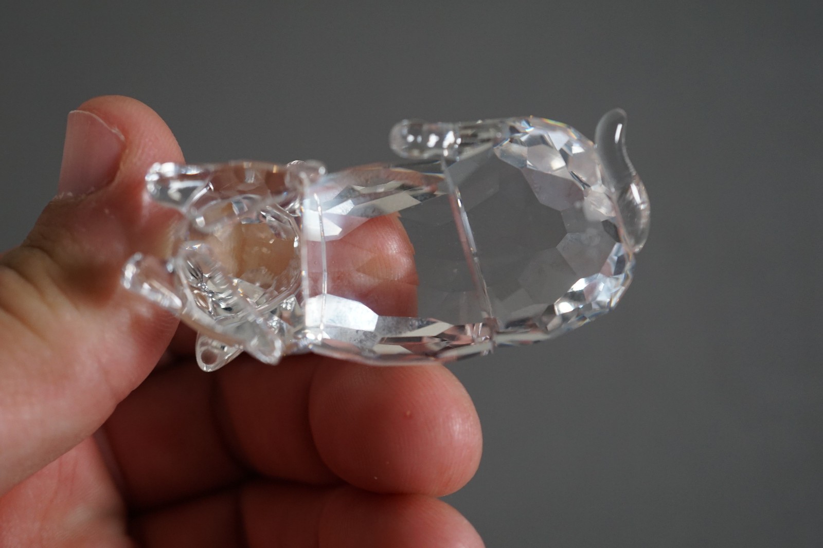Swarovski Mother Sheep Lying Retired 2007 631437 – No Box