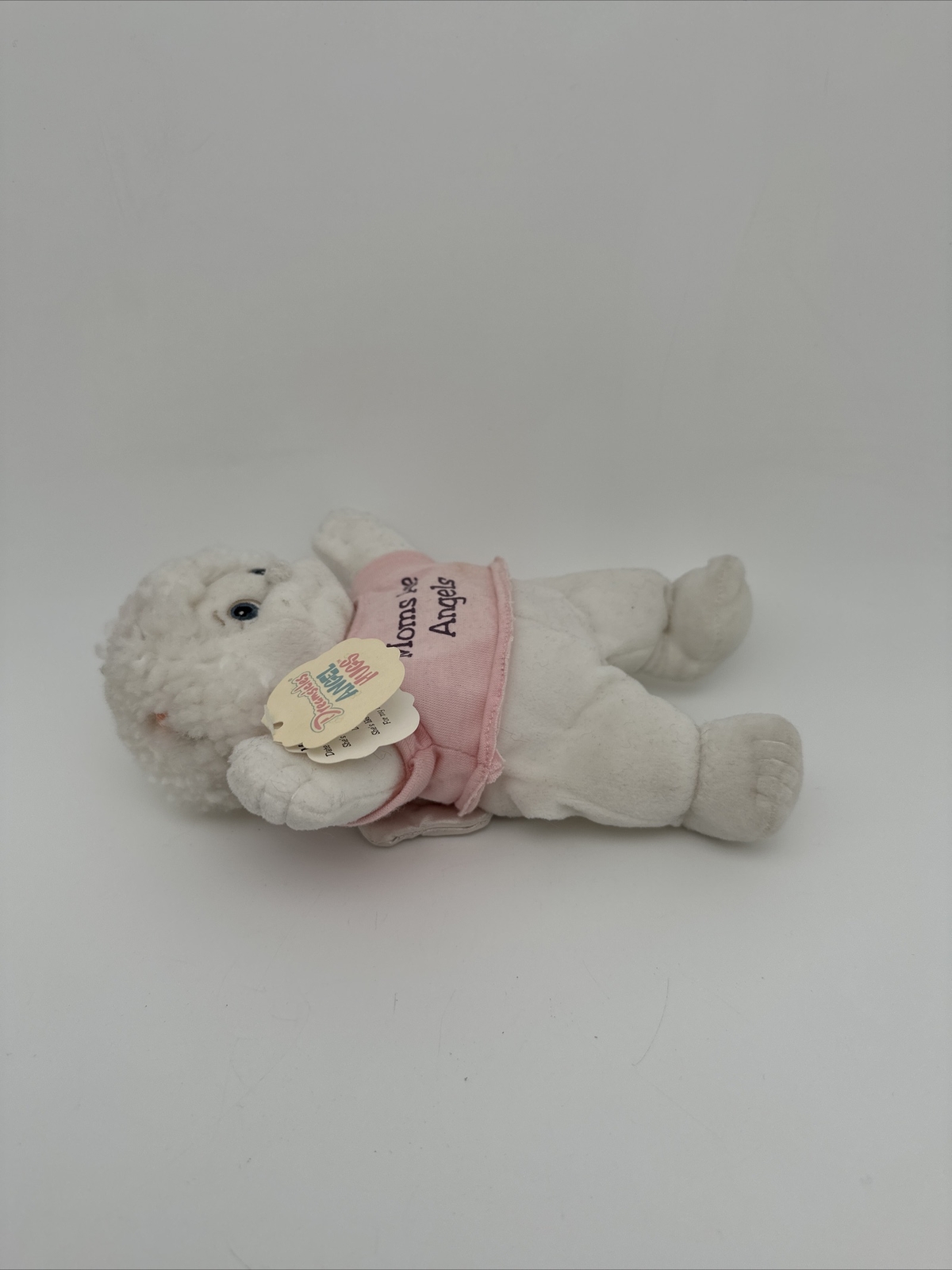 Dreamsicles Angel Hugs “teacher Of The Year” Plush Toys -9 In 1999….A13