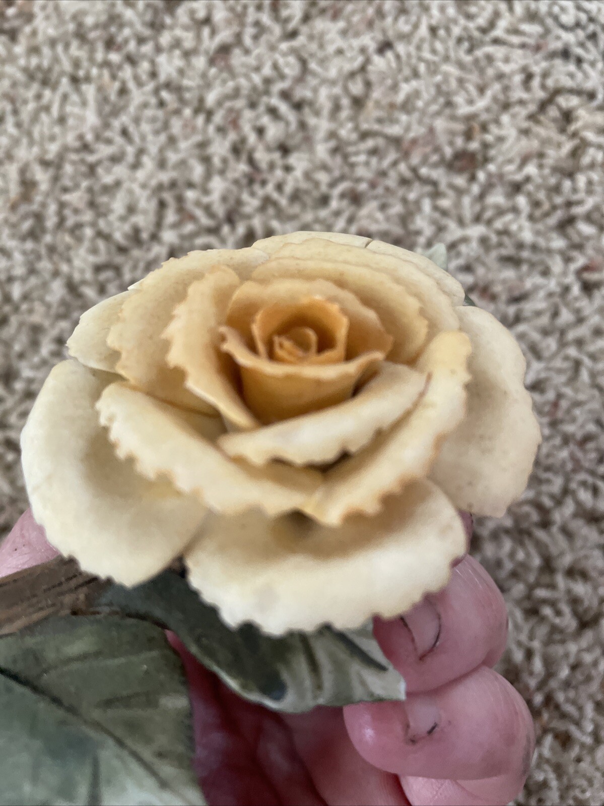Delicate Possible Porcelain Rose On A Branch With Leaves