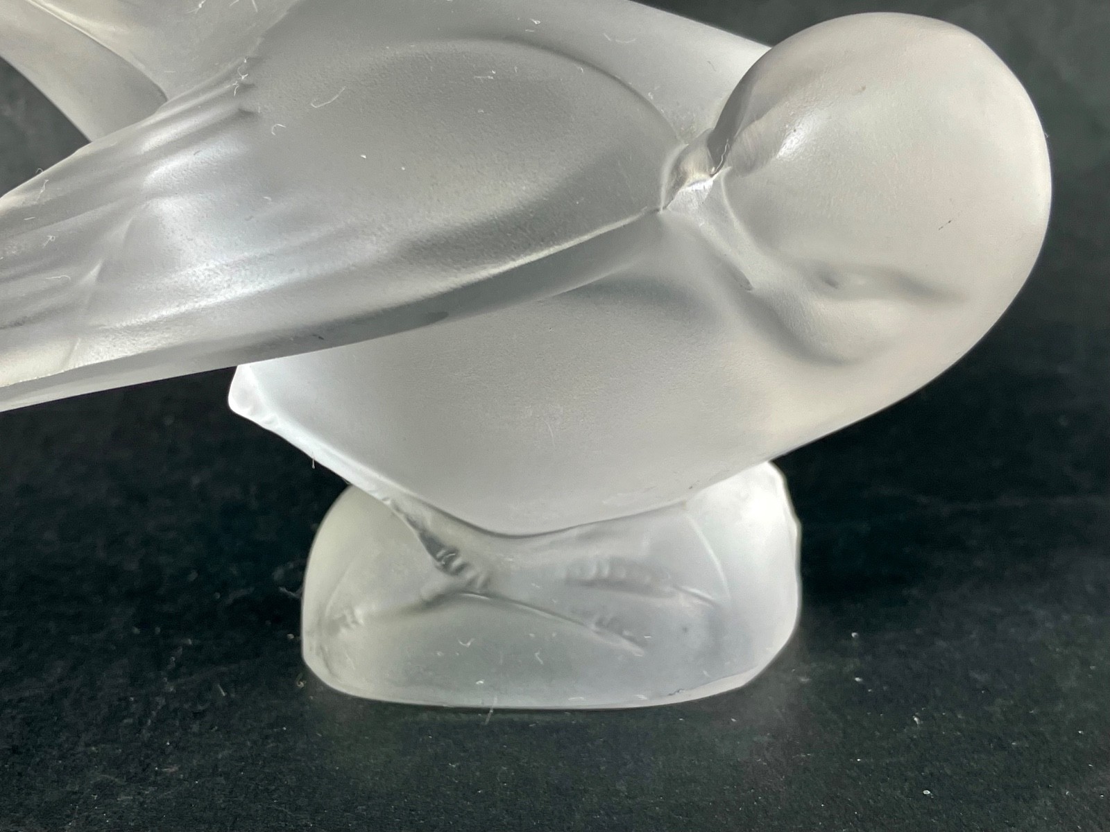 LALIQUE Crystal Frosted Art Glass Dove 4.5″ Bird with Head Down — signed