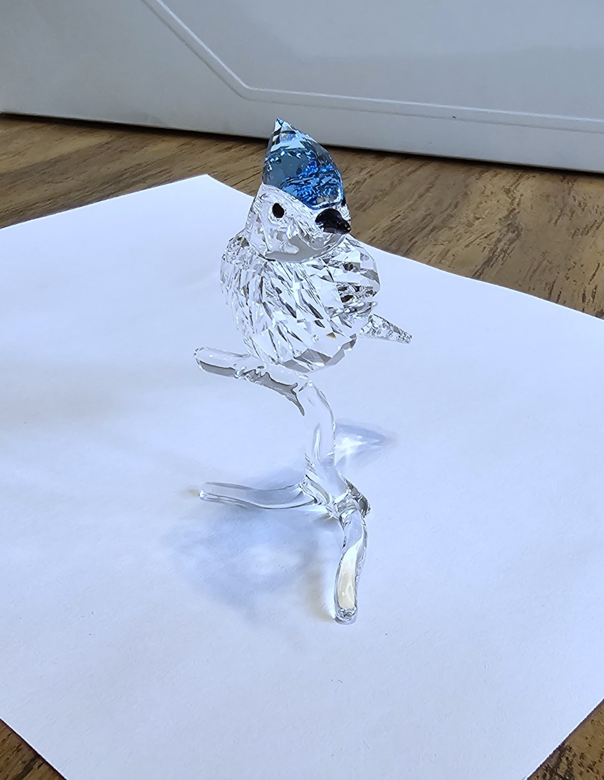 🐦 Swarovski Crystal 2019 Feathered Beauties, Large, Blue Jay Bird Figurine, NIB