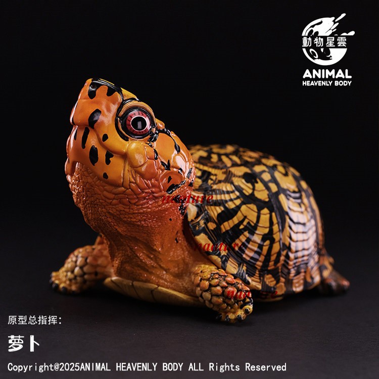 Animal Heavenly Body Eastern Box Turtle Orange Resin Figurine Limited Model Toys