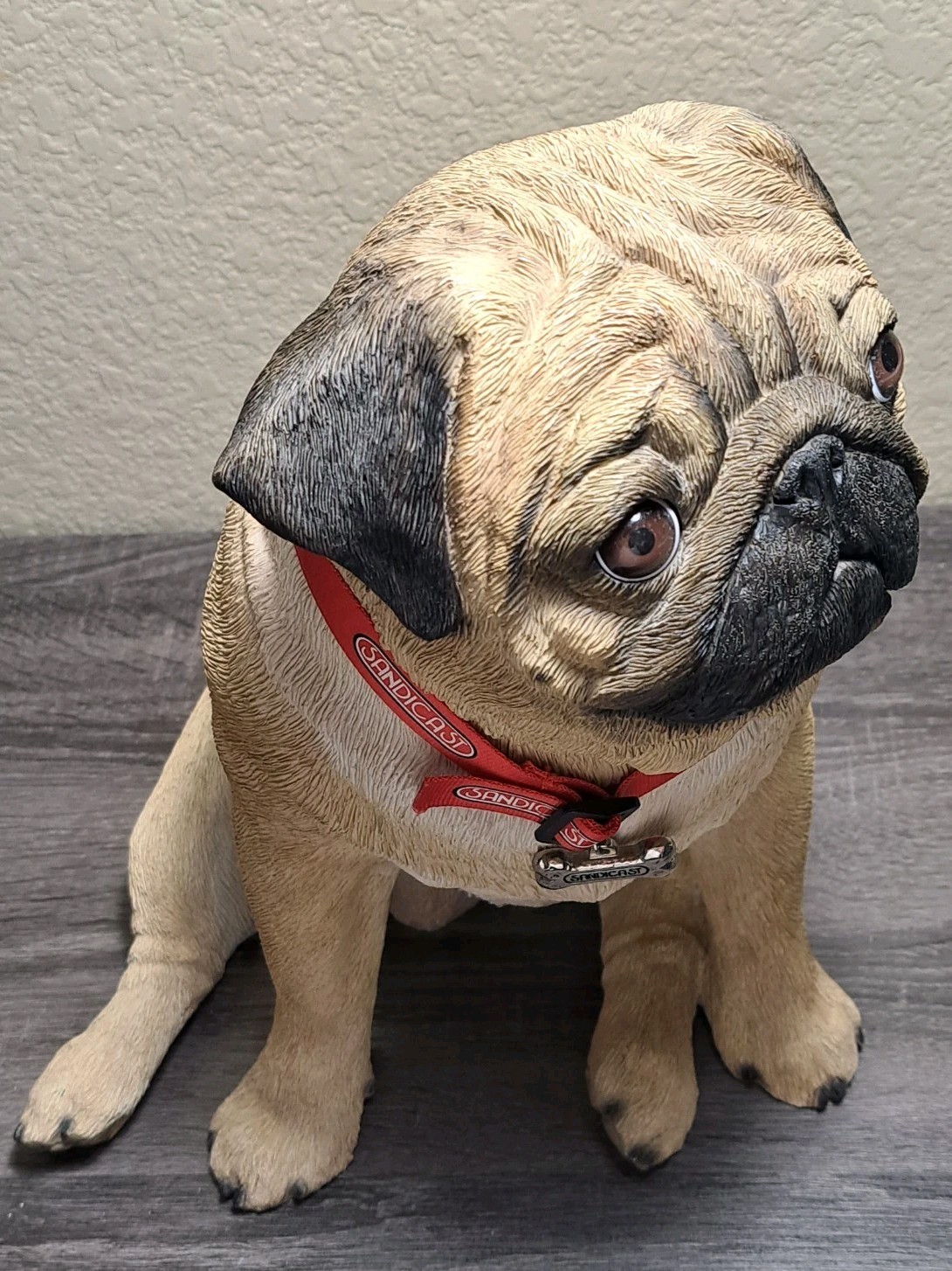 RARE Sandicast PUG Dog Life Size Adult Seated W/Collar Indoor Statue Figurine
