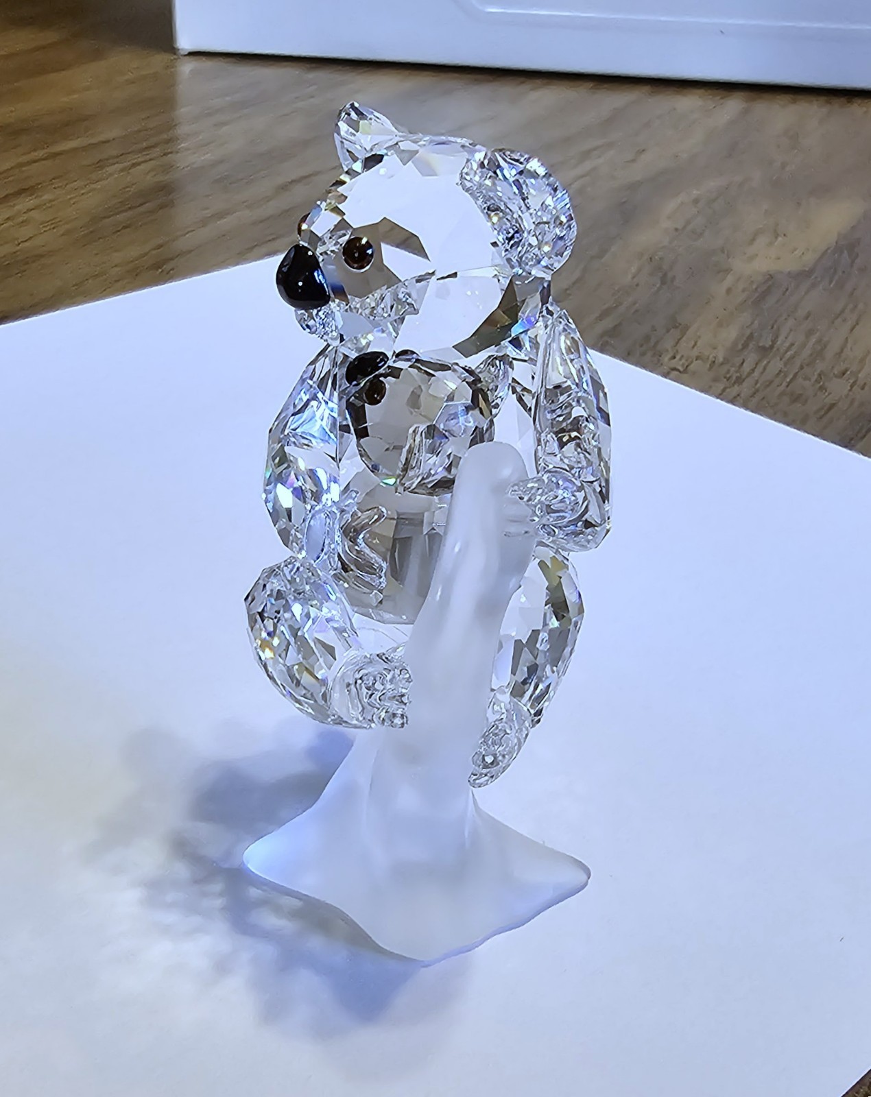 🐨 Swarovski Crystal 2009 Rare Encounters Koala Mother Baby in Tree Figurine NIB
