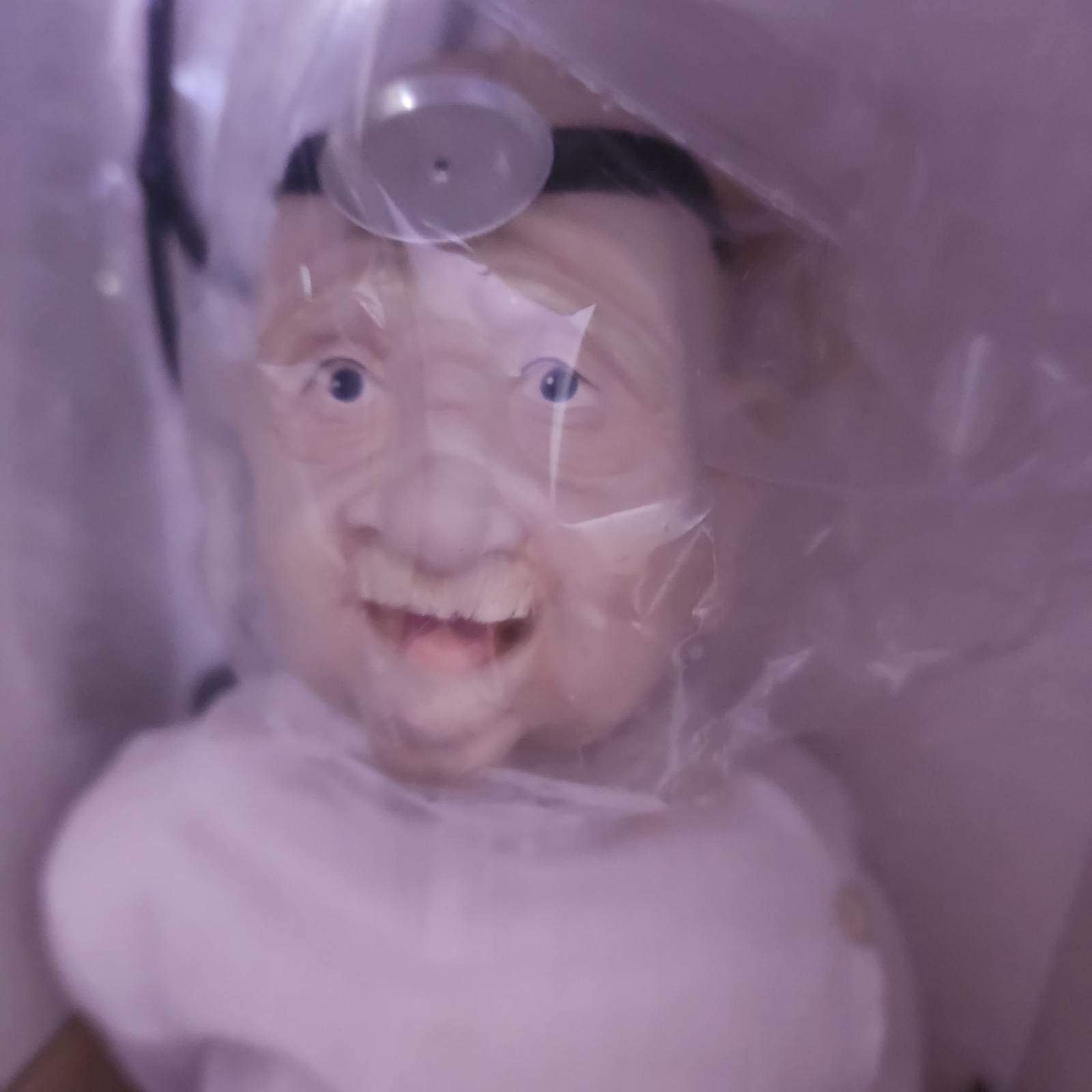 The Elder Doc Werner Doll Collection Porcelain Doll with Stand And Box