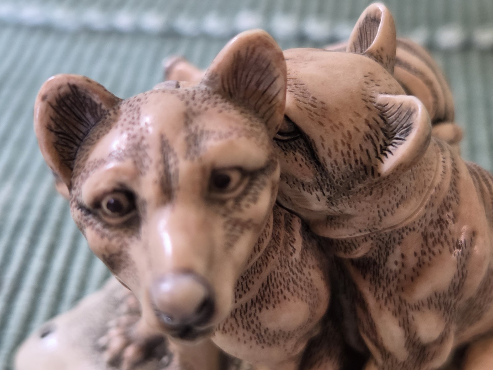 Harmony Kingdom Box “Father Knows Best” Tasmanian Tigers by Peter Calvesbert