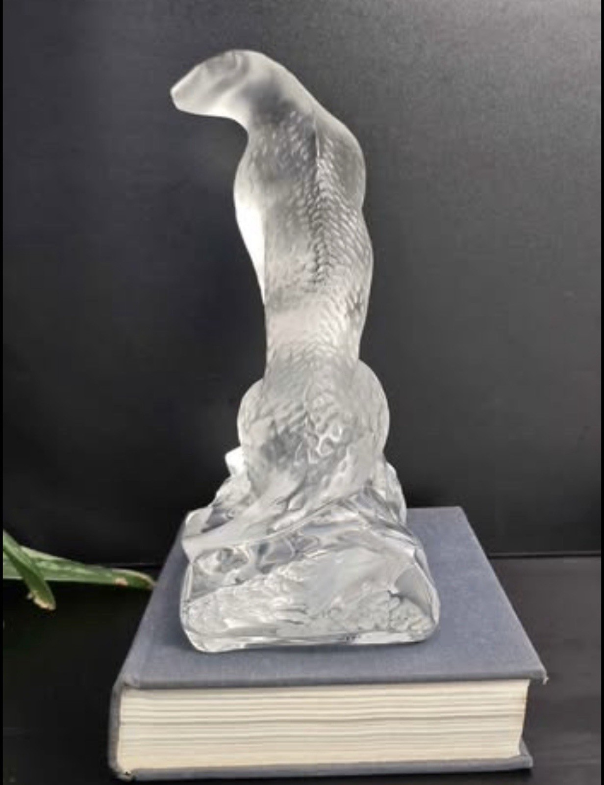 Lalique “Tancréde” Frosted Crystal Cheetah Figurine with Original Box