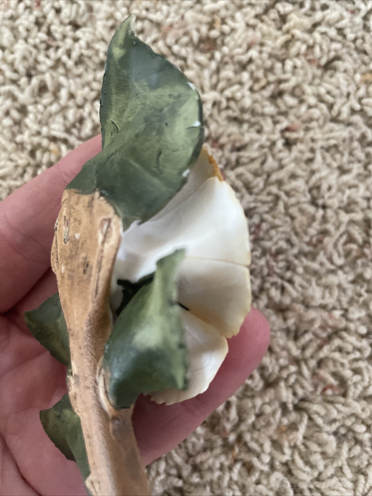 Delicate Possible Porcelain Rose On A Branch With Leaves