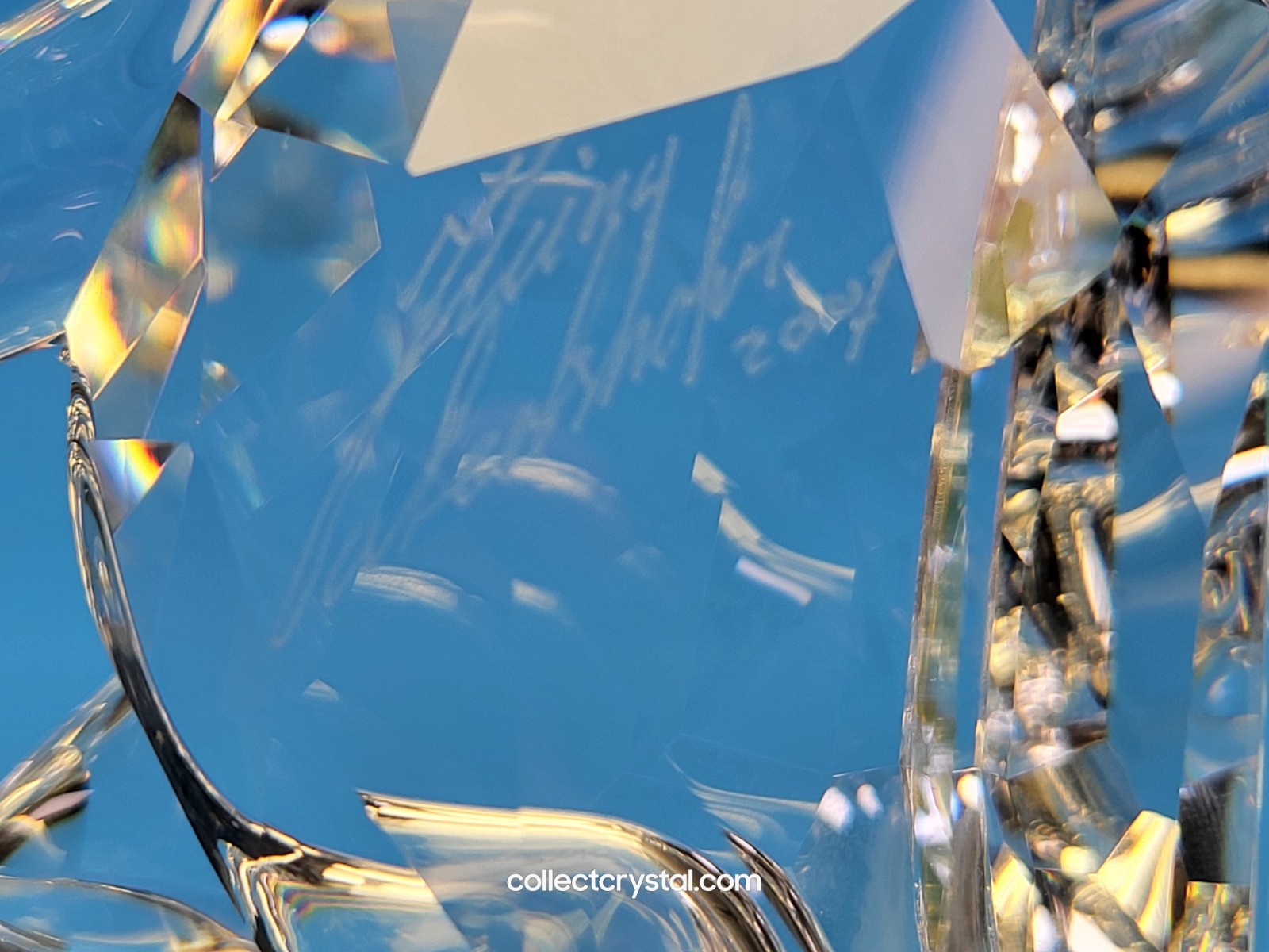 Swarovski Crystal SOULMATES PANTHER CLEAR 874337 5155678 G2U