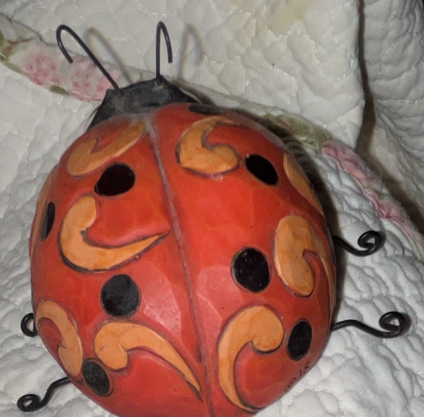 Enesco Jim Shore Heartwood Creek Mini Ladybug Figurine 3.5 retired
