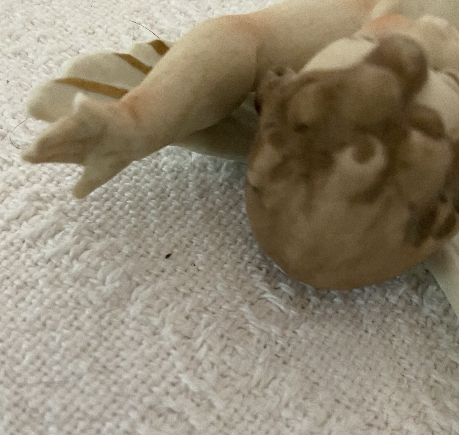 Antique German Angels Bisque Porcelain Pair, Ernst Bohne & Söhne Marked No Chips