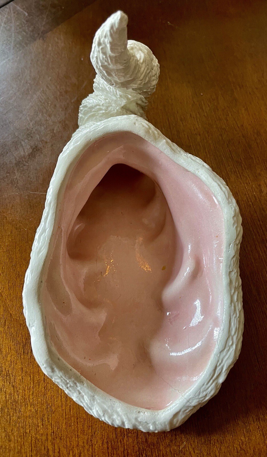 1979 NOWELL’S White Conch SEASHELL With Pink Gloss Interior – RARE BEAUTY!