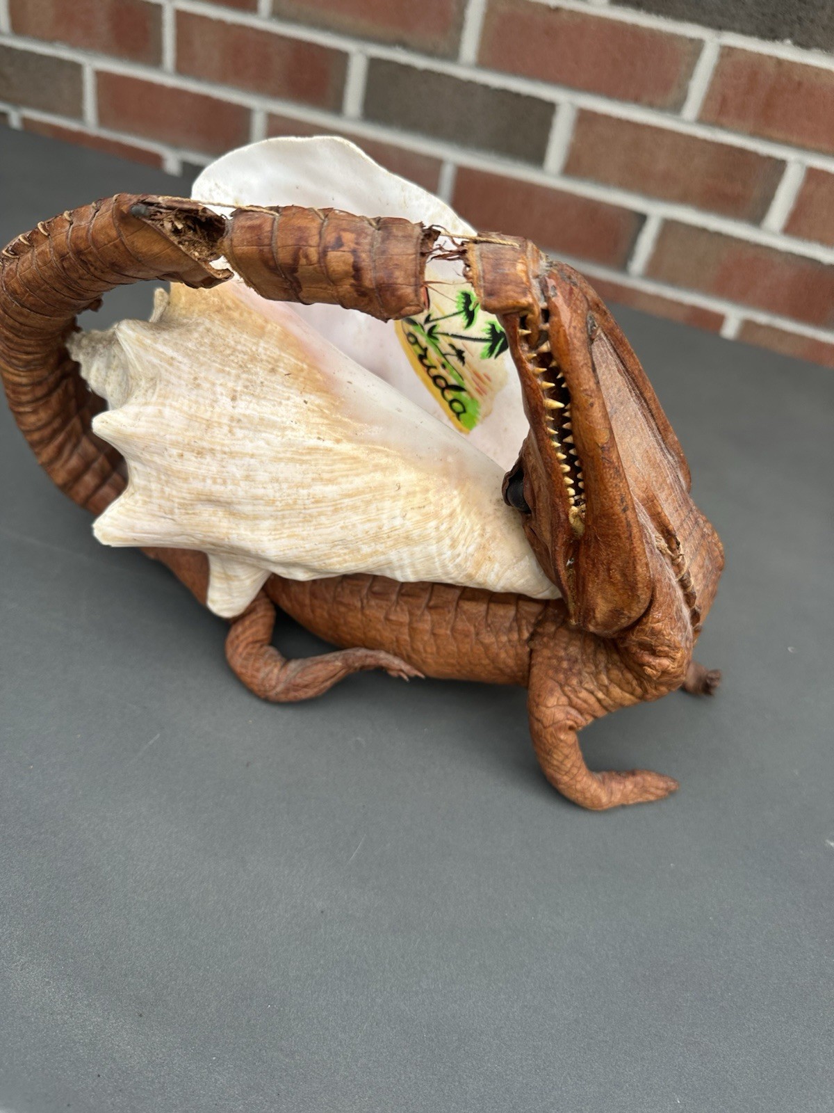 RARE Vintage Decorative Conchshell With Crocodile Or Alligator ( Not Sure Which)