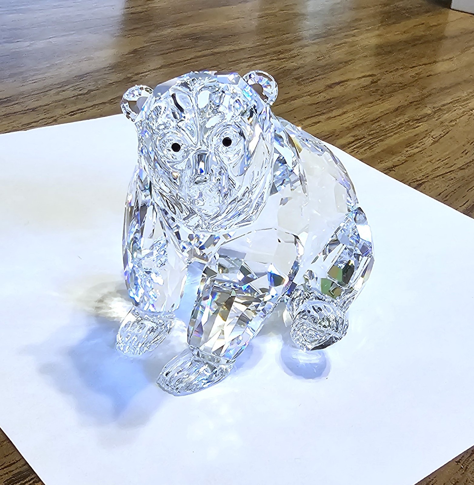 🐻 Swarovski Crystal “Rare Encounters”, LARGE, Adult Grizzly Bear Figurine, Box