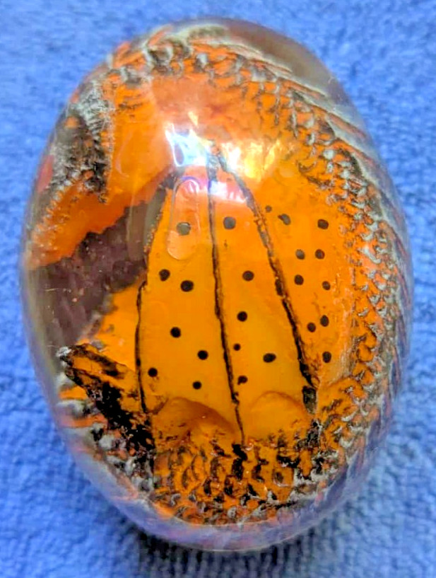 Clear Resin Dragon Egg Colorful 2.75″ High x 2″ Wide ORANGE AND BLUE