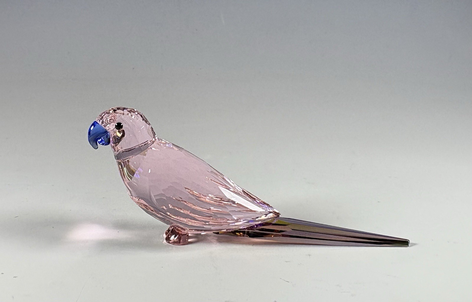 Swarovski Crystal Jungle Beats Parakeet Cha Cha Pink Bird Figurine Mint In Box