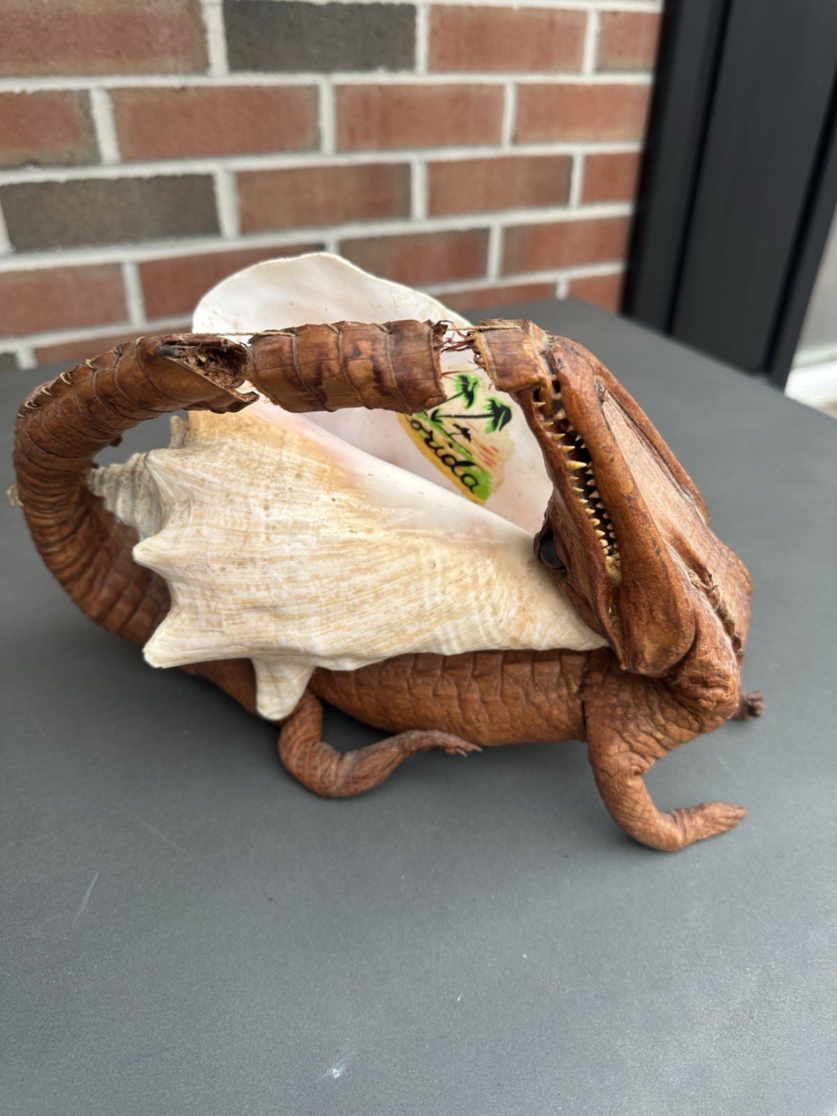 RARE Vintage Decorative Conchshell With Crocodile Or Alligator ( Not Sure Which)