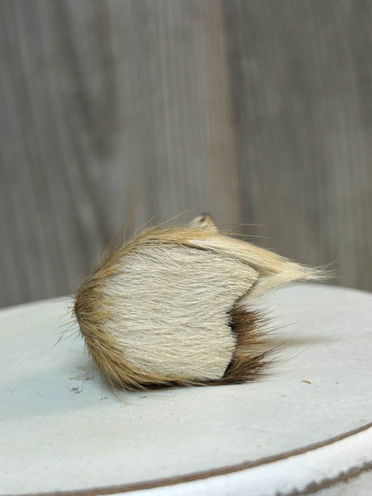 Vintage Real Fur Fox Mini Miniature Forest Animal Figurine Figure 2 3/8”