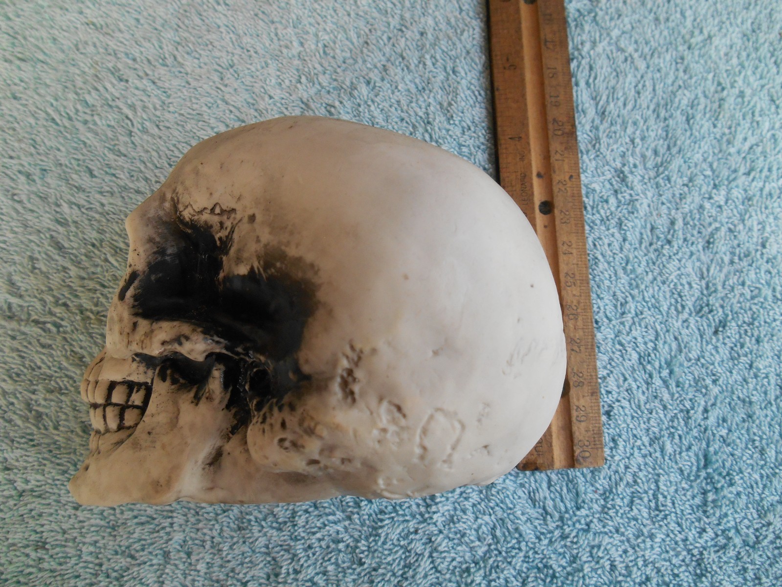 DECORATIVE PLASTIC MOLDED SKULL SKELETON HEAD 3-1/2″ TALL.