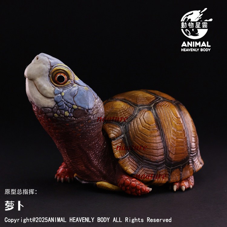 Animal Heavenly Body Mexican Box Turtle Resin Figurine Limited Model Painted Toy