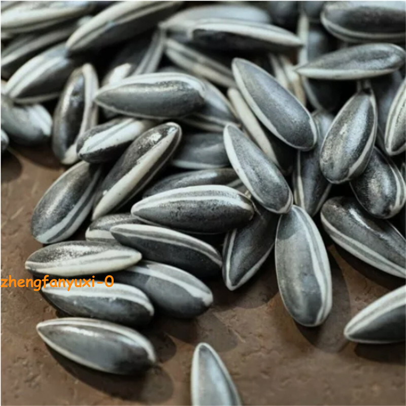 US STOCK 100Pcs Art Ai Weiwei Porcelain Sunflower Melon Seeds Tea Pet Decoration