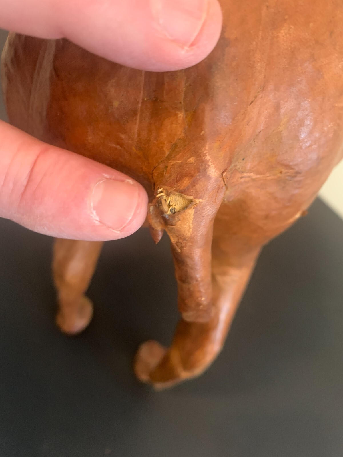 Vintage Leather Wrapped Large Camel 21′ W X 17″ Tall with glass eyes