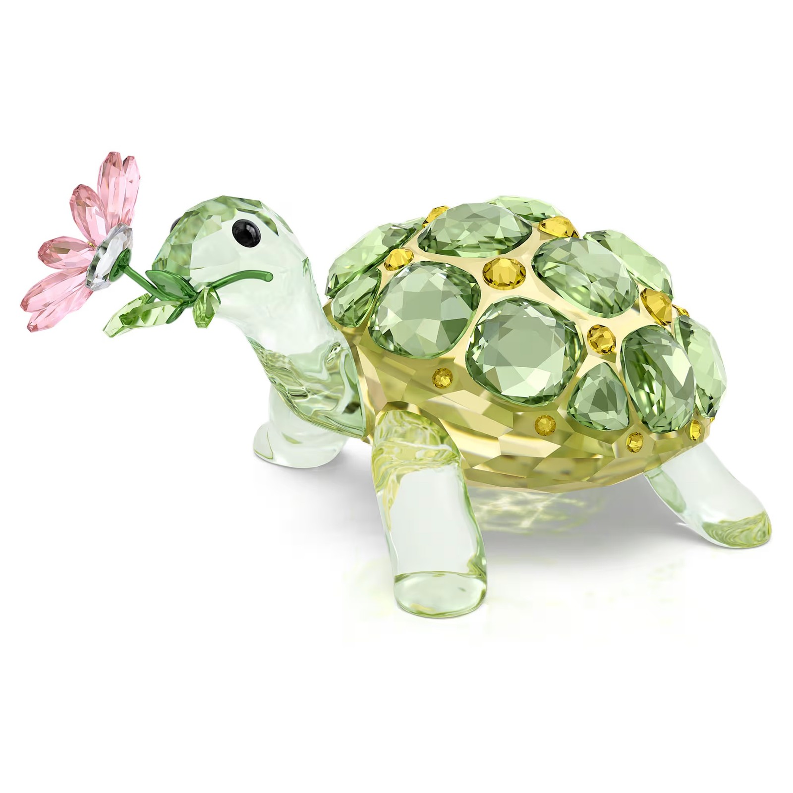 Swarovski Idyllia Tortoise and Daisy Figurine Decoration, Multicolored, 5721542