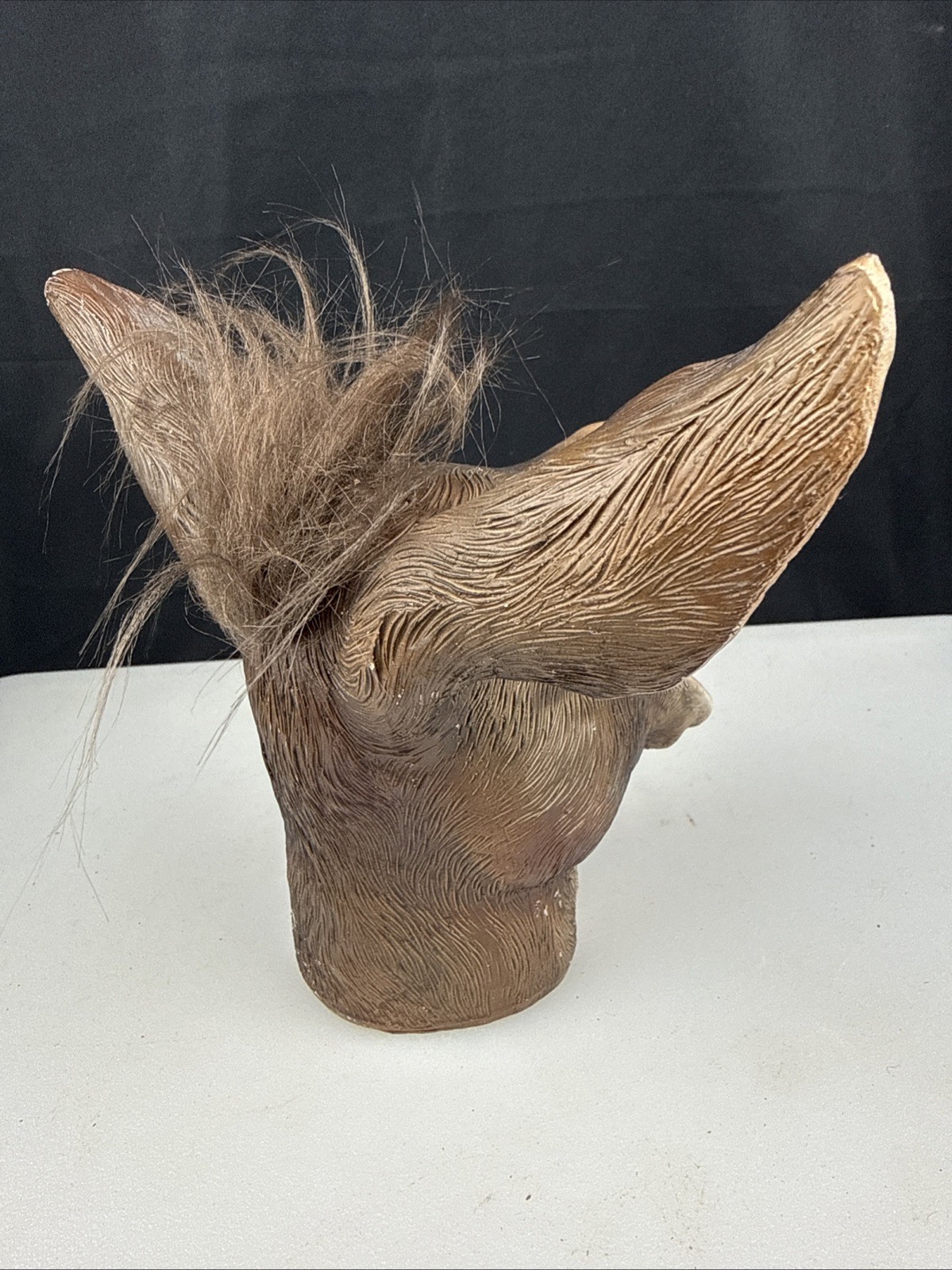 7″ Polyresin Laughing Donkey Mule Ass Head bust Paperweight