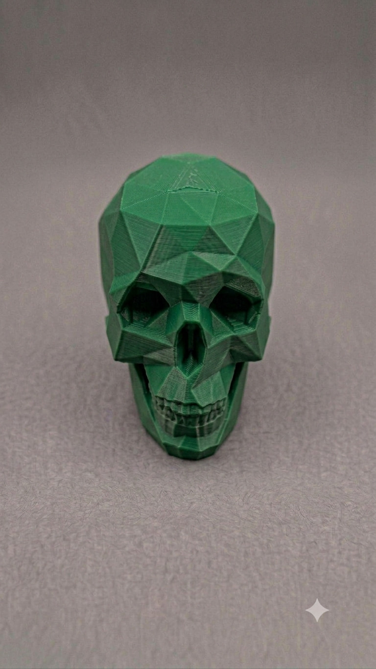 3d printed skull- READ DESCRIPTION