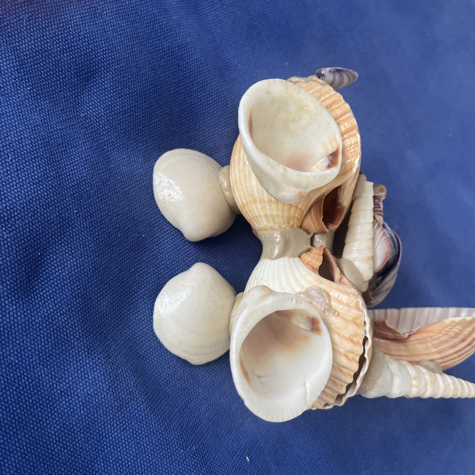 Vintage Handcrafted Figurine Riding a Vehicle made out of Seashells