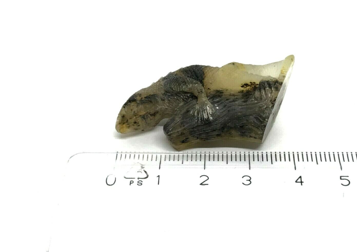 AMBER IGUANA Gift Carved BALTIC Figurine Statuette Untreated Raw Unique 4g 15785