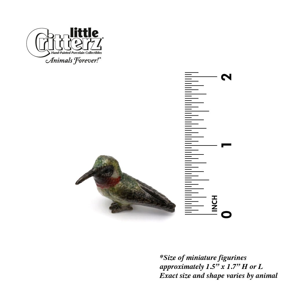 Little Critterz Hummingbird Broad-tailed “Gorget” – Miniature Porcelain Figurine