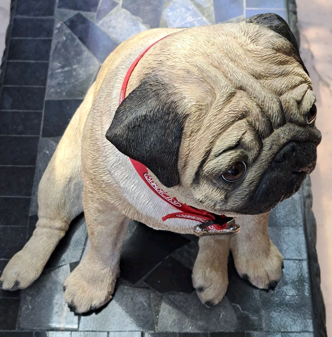 RARE Sandicast PUG Dog Life Size Adult Seated W/Collar Indoor Statue Figurine
