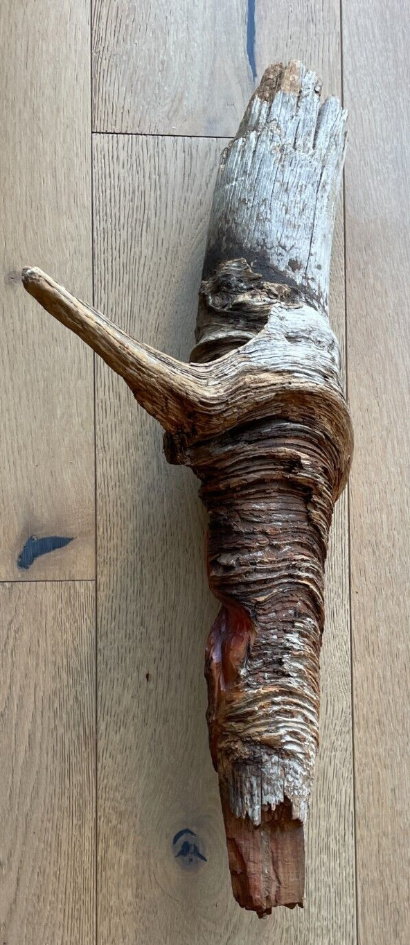 24″ Wood Spirit Carving Old Man of the Woods Sculpture Folk Art @ 24″ long