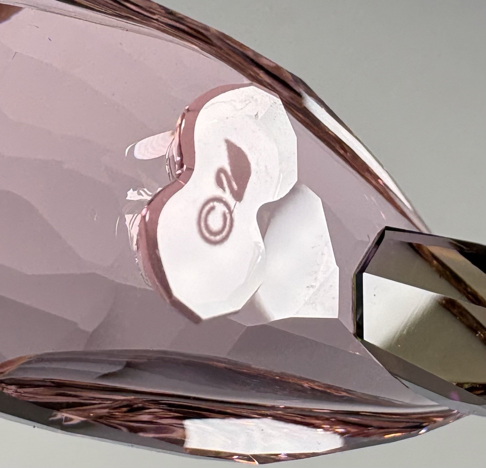 Swarovski Crystal Jungle Beats Parakeet Cha Cha Pink Bird Figurine Mint In Box